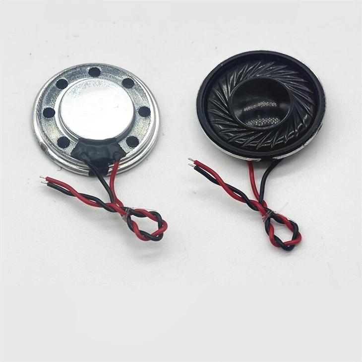 28mm 8ohm 2W Mylar Cone Bass Speaker